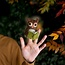 Fingerpuppen Uil met Boek