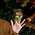 Sjaal met Verhaal Fingerpuppen Uil met Boek