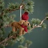 Sjaal met Verhaal Felt Christmas Hanger Teckel met Muts