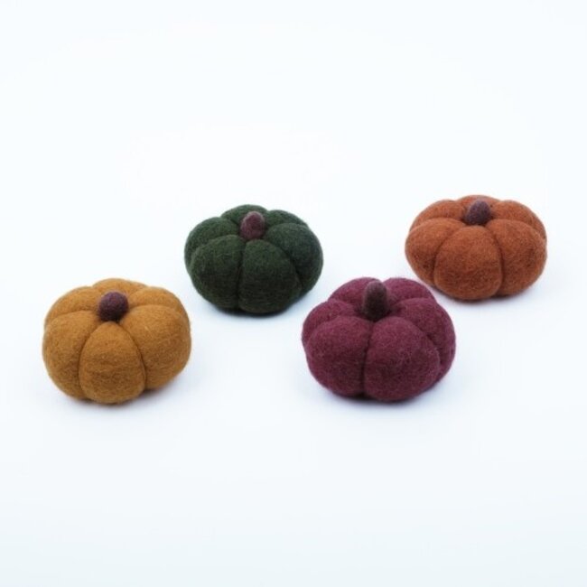 Filz Pompoen Medium assorti