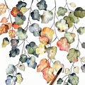Paperproducts Design Paper Napkins Bright Fall