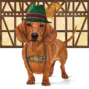 Paperproducts Design Paper Napkins Schnitzel