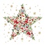 Paperproducts Design Papierservietten Beautiful Christmas Star white