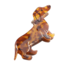 Red Cuckoo Hair Claw Clip Sausage Dog