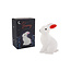CGB Giftware Nachtlicht Bunny Rabbit