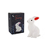 CGB Giftware Nachtlicht Bunny Rabbit