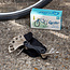 Multitool für Fahrräder Cyclist