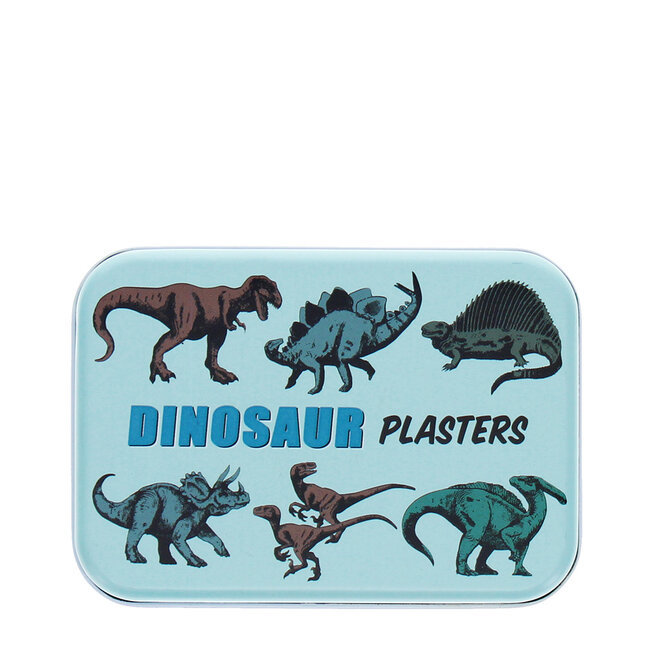 Plaster in a box Prehistoric Land
