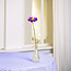 Filzblume Margrietje violettinten assorti