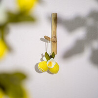 Sjaal met Verhaal Felt Hanger Citroen