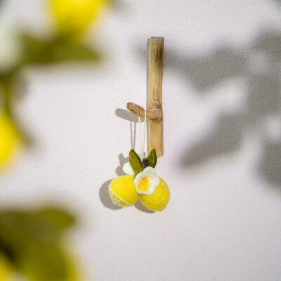 Sjaal met Verhaal Filzhänger Citroen