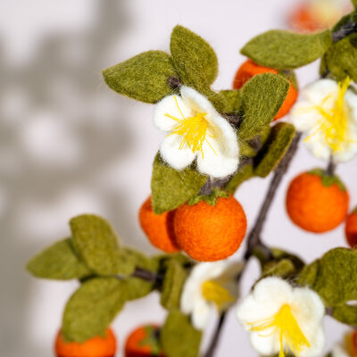 Sjaal met Verhaal Filzblume Tak Sinaasappel