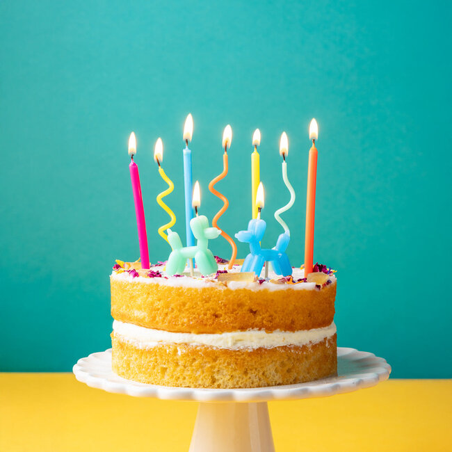 Birthday Candles Birthday Balloon Dog