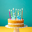 Birthday Candles Birthday Balloon Dog
