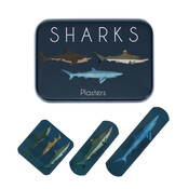 Rex London Plaster in a box Sharks