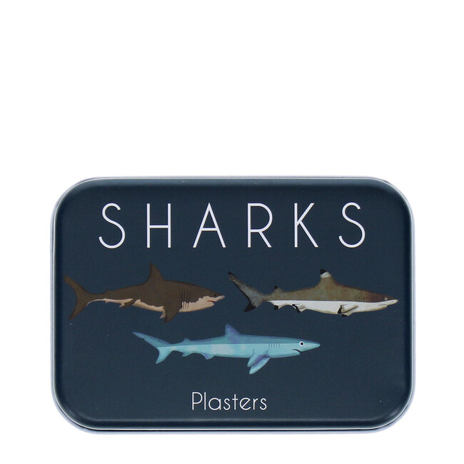 Pflaster in Dose Sharks