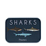 Pflaster in Dose Sharks
