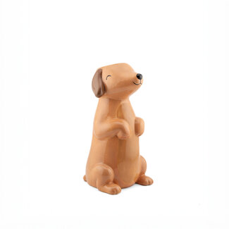 Sass & Belle Vase Sausage Dog