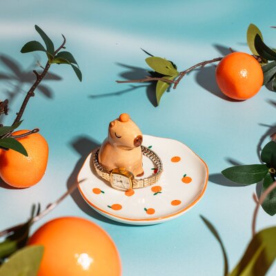 Sass & Belle Trinket Dish Capybara