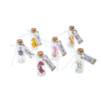 CGB Giftware Flower Bottles Sentiment in Display