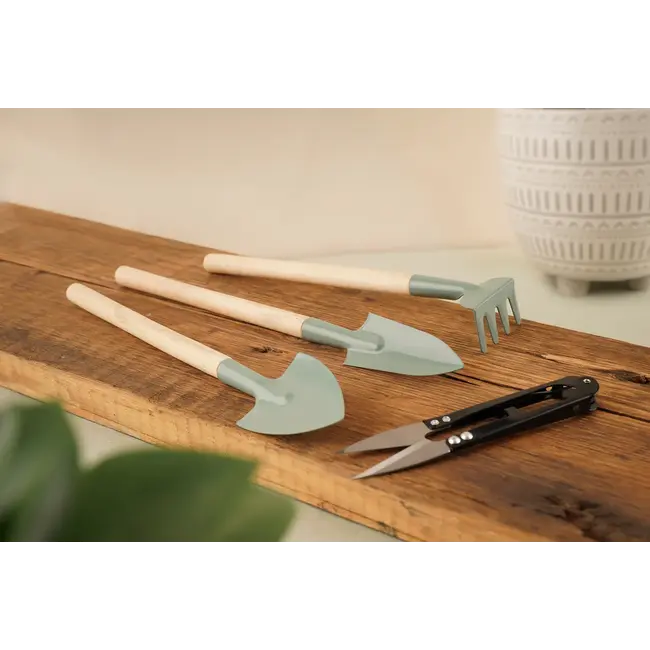 Indoor Plant Care Kit The Potting Shed