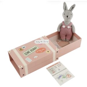 CGB Giftware Matchbox Toy Betsy the Bunny