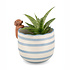 Sass & Belle Planter Peeking Sausage Dog