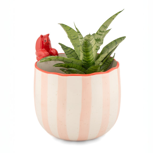 Planter Peeking Lobster