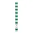 Dinner Kerzen Stripe green in Display