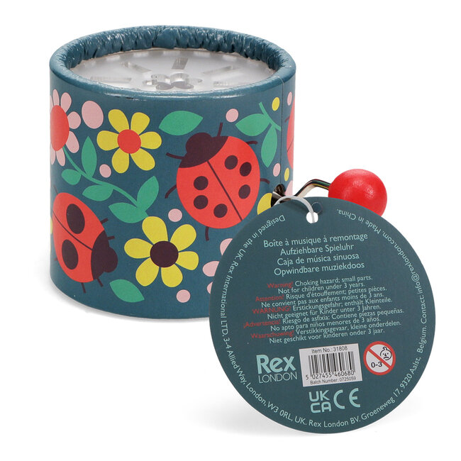Winding Music Box  Ladybird