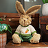 Powell Craft Teddy Rabbit Carrot Jumper