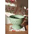 Isabelle Rose Colander Hearts sage