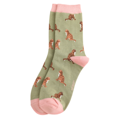 Miss Sparrow Socks Bamboo Tabby Cats olive