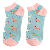 Miss Sparrow Trainer Socks Bamboo Sausage dog & Spots duck egg
