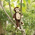 Sindibaba Cuddly Toy  Monkey brown (organic cotton)