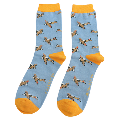 Miss Sparrow Mens Socks Bamboo Vintage Planes mid blue