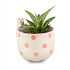Sass & Belle Planter Peeking Cat