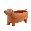 Sass & Belle Planter Sausage Dog