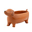 Sass & Belle Planter Sausage Dog