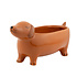 Sass & Belle Planter Sausage Dog