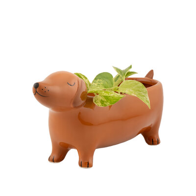Sass & Belle Planter Sausage Dog