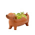 Sass & Belle Planter Sausage Dog