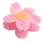 Hair Claw Clip Flower Sakura