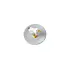 CGB Giftware Trinket Dish Coastal Seagul
