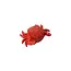 Schmuckdöschen Coastal Crab