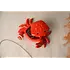 CGB Giftware Schmuckdöschen Coastal Crab