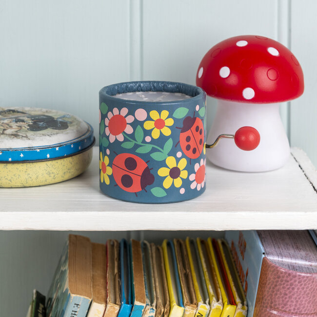 Winding Music Box  Ladybird
