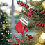 Sjaal met Verhaal Felt Christmas Hanger Wantje Holly Berry rood