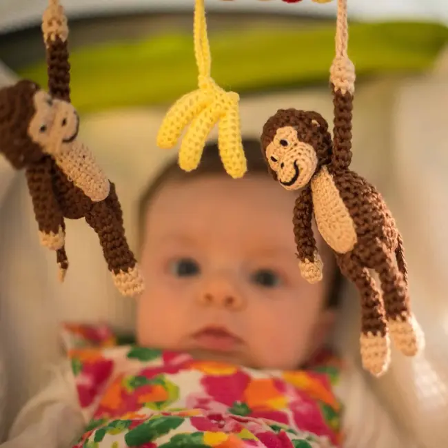 Kinderwagenkette Affe Charlie (BIO)