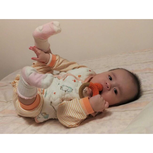 Grasping Toy Fox Fred (BIO)